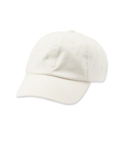 V1 Dad Hat 2.0